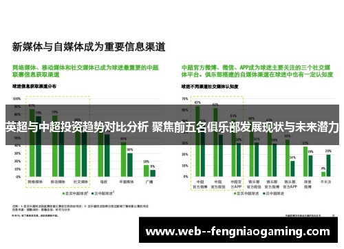 英超与中超投资趋势对比分析 聚焦前五名俱乐部发展现状与未来潜力