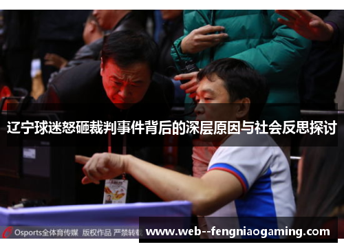 辽宁球迷怒砸裁判事件背后的深层原因与社会反思探讨 辽宁球迷怒砸裁判事件背后的深层原因与社会反思探讨